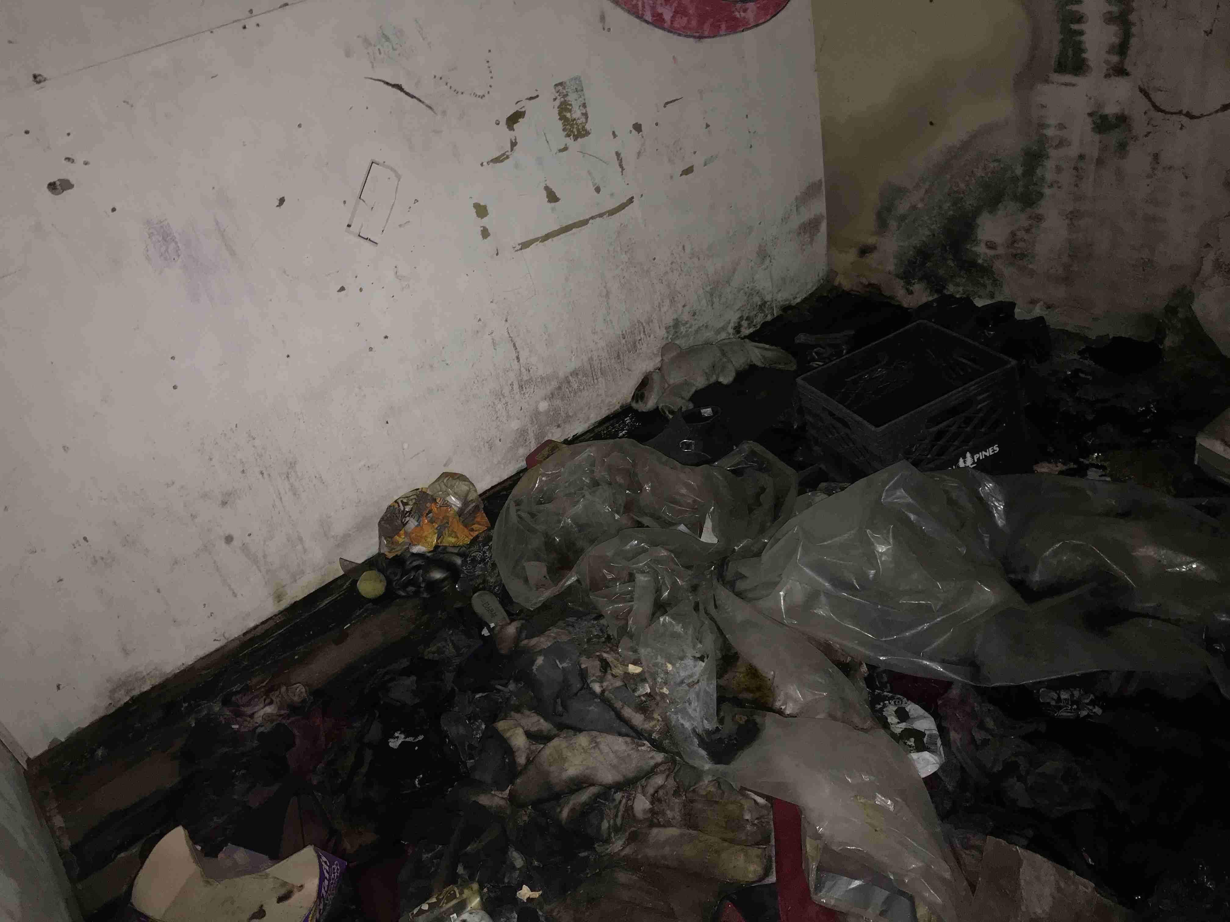 Photo Sep 10, 1 08 46 PM.jpg